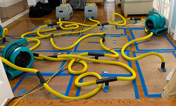 Professional Basement Flood Cleanup technician working in Phelan, CA